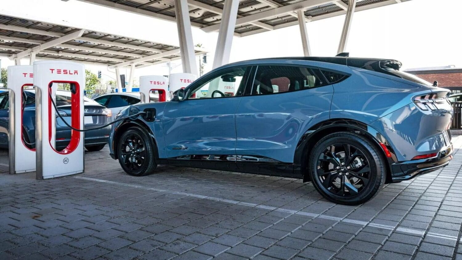 特斯拉靠著超充賺大錢　每年獲利恐破千億元