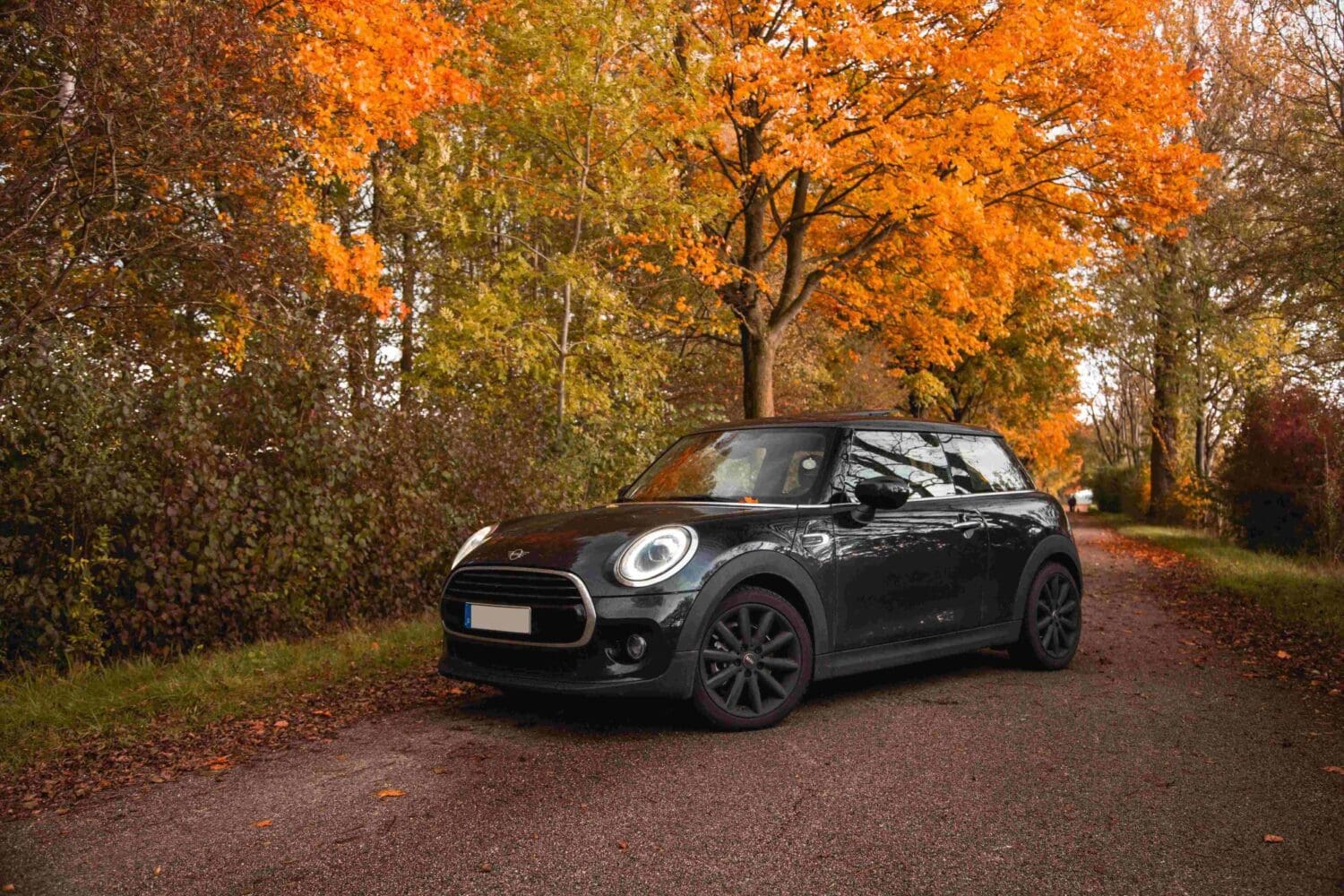 Mini Winter Care冬季健診活動　八大項免費檢查