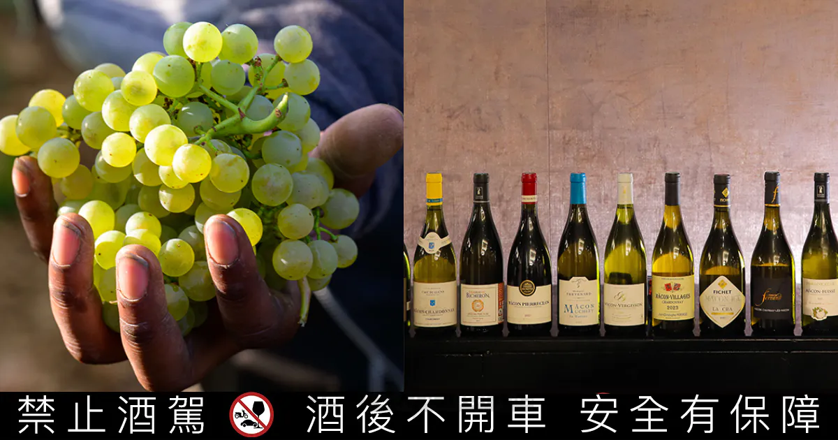 法國勃艮地馬貢產區葡萄酒登台,以多樣風味驚豔台灣 法國勃艮地馬貢產區葡萄酒登台,以多樣風味驚豔台灣