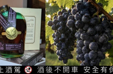 台灣酒廠龐尼維爾推出「黑后葡萄蒸餾藏桶」！彰化二林黑后葡萄桶藏兩年，拼齊全方位烈酒版圖